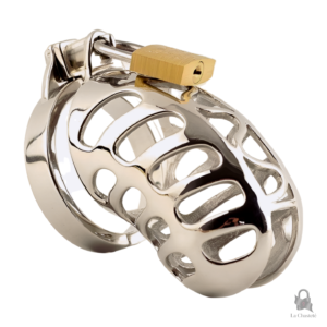 Cage de chasteté en fer Alyndor