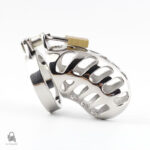 Cage de chasteté métal, design élégant