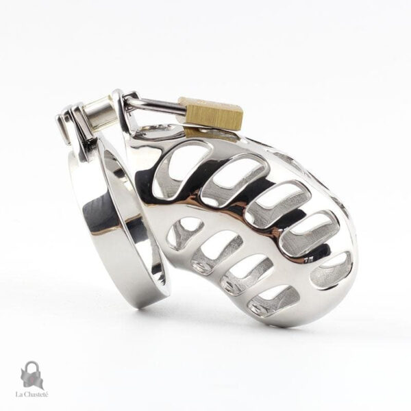Cage de chasteté métal, design élégant