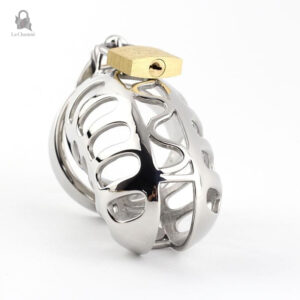Cage de chasteté Alyndor, confort et maintien