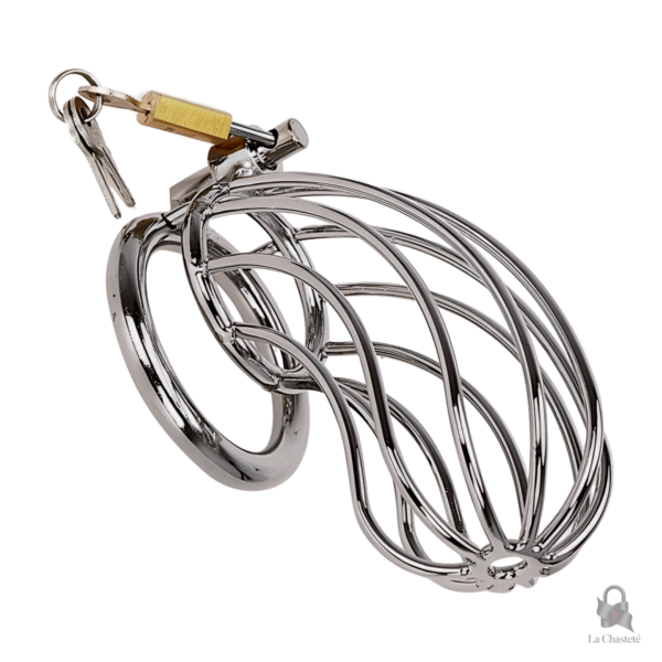 Cage de chasteté métal pour plaisir et contrôle