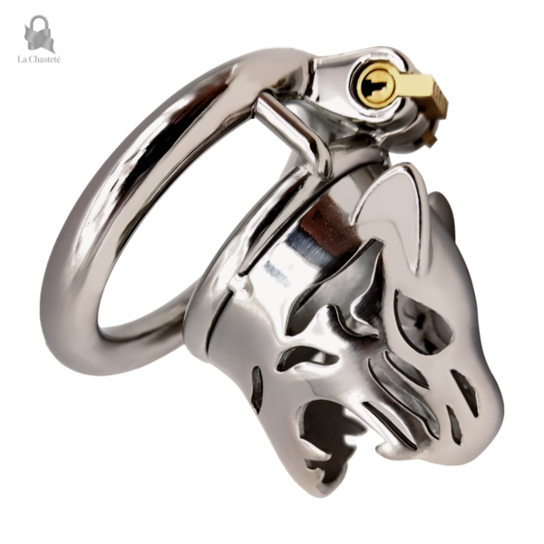Accessoire BDSM : cage de chasteté en métal