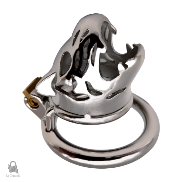 Cage de chasteté métal, sécurité et esthétique combinées