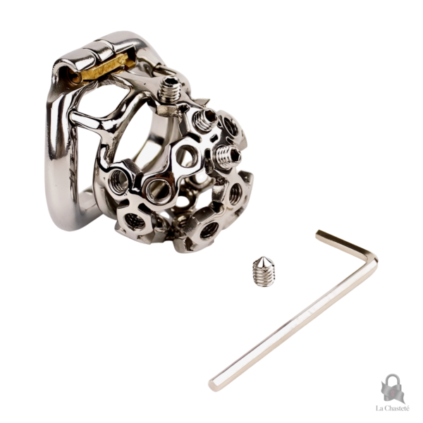 Accessoire BDSM : cage de chasteté en métal