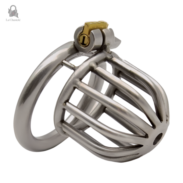Cage de chasteté métal à serrure intégrée - Levitan