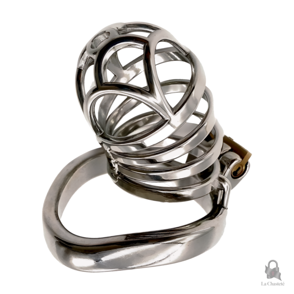 Cage de chasteté en métal pour contrôle de la libido
