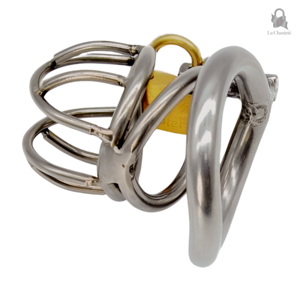 Cage de chasteté Vertolix, accessoire de contrôle en métal