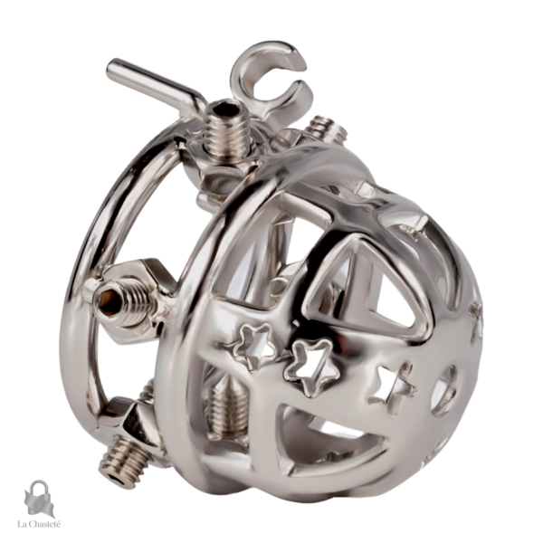 Accessoire de chasteté masculin en métal durable