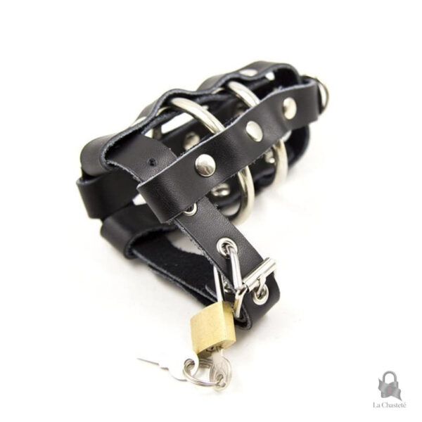 Cage de chasteté en métal, design élégant en cuir