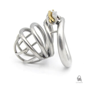Cage de chasteté métal pour un maintien sécurisé