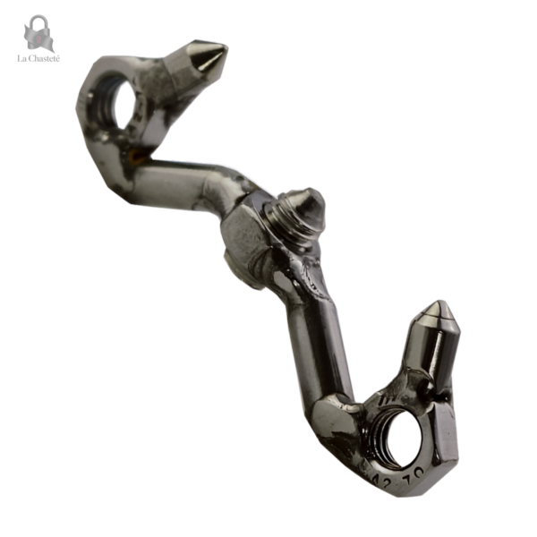 Cage De Chasteté pour une expérience de soumission unique
