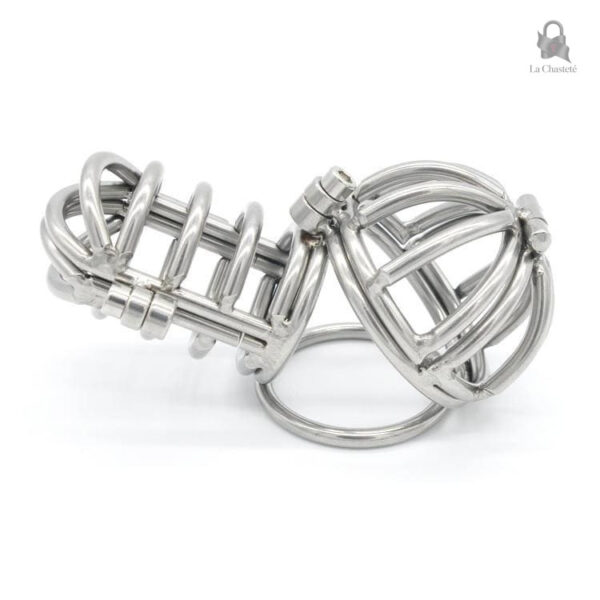 Cage de chasteté Lorvyn, style élégant et fonctionnel