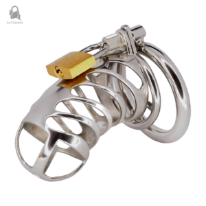 Cage de chasteté Vynthor, design robuste et sécurisé
