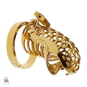 Cage de chasteté métal Cobra - Valion