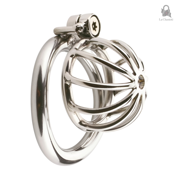 Cage de chasteté métal légère Sythor