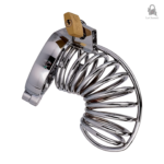 Cage de chasteté métallique avec cadenas Terion