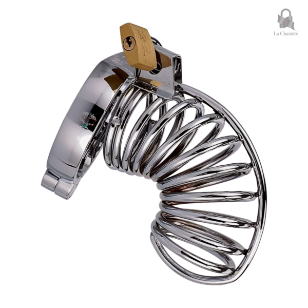 Cage de chasteté métallique avec cadenas Terion