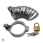 Cage de chasteté Terion en acier inoxydable