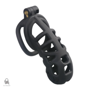 Accessoire de chasteté Zephyros pour le plaisir contrôlé