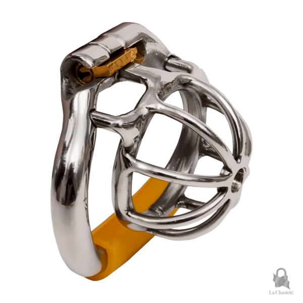 Cage de chasteté métal petite Lyrionis pour une expérience unique