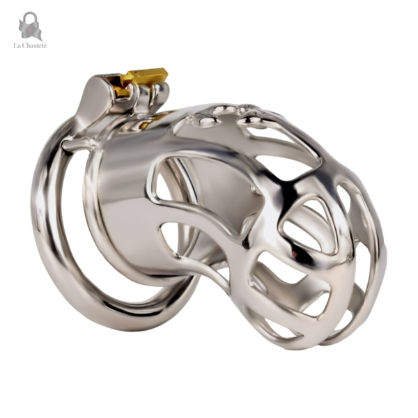 Cage de chasteté métal Theronix pour tous les pénis