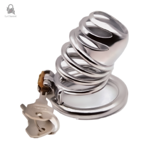 Accessoire de chasteté Prince Albert en acier inoxydable