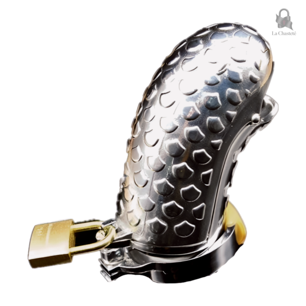 Cage de chasteté en métal, design Serpent, pour une expérience unique