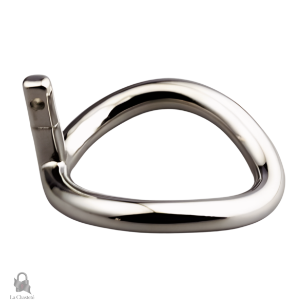 Tête de Lion cage de chasteté pour adultes