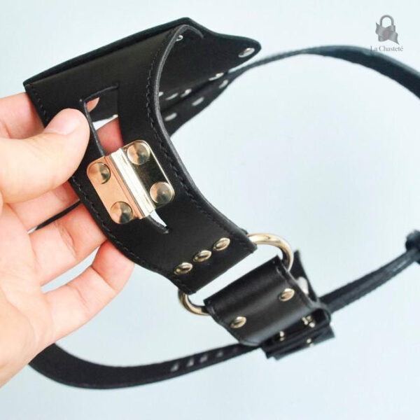 Ceinture de chasteté féminine en cuir