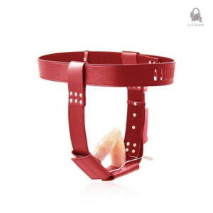 Ceinture de chasteté moderne pour femmes