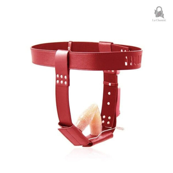 Ceinture de chasteté moderne pour femmes