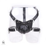 Ceinture de chasteté pour hommes