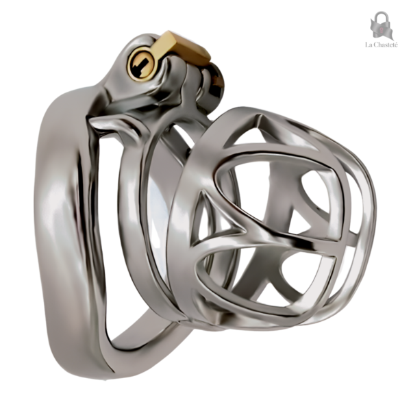 Petite Cage De Chasteté Mylona en métal