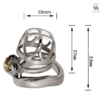 Cage de chasteté en métal pour une expérience unique